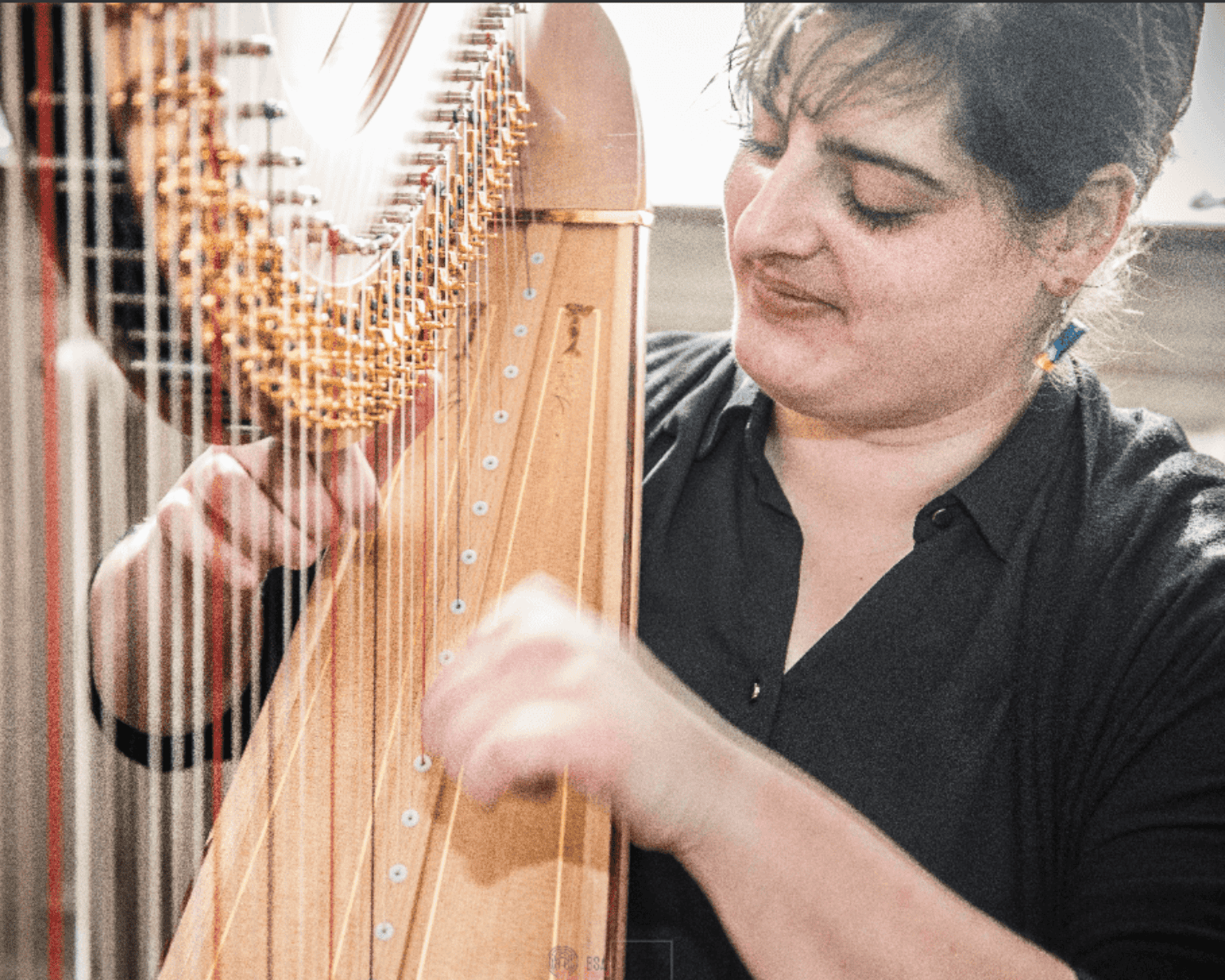 Tea Plesnicar Harp mentor